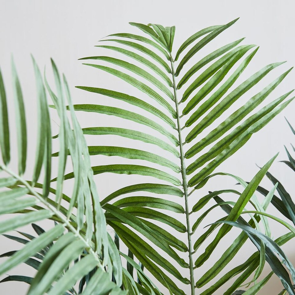 Faux Fan Palm Tree West Elm UK